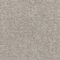 Dixie Home Harmony Carpet in Harmony, , large