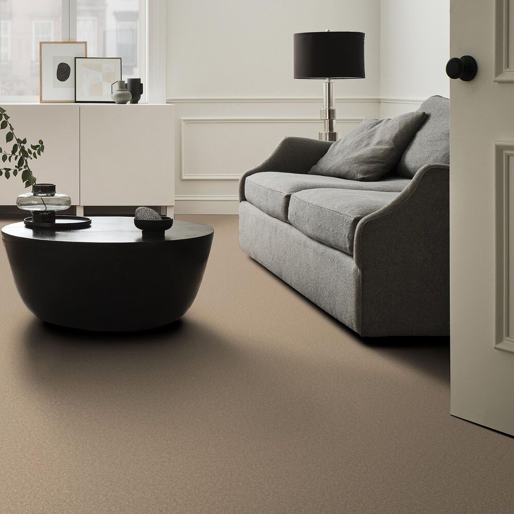 Anderson Tuftex Enduring Charm Carpet in Brulee, , large