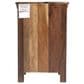 Butler Specialty Company Arya Accent Chest in Brown, , large