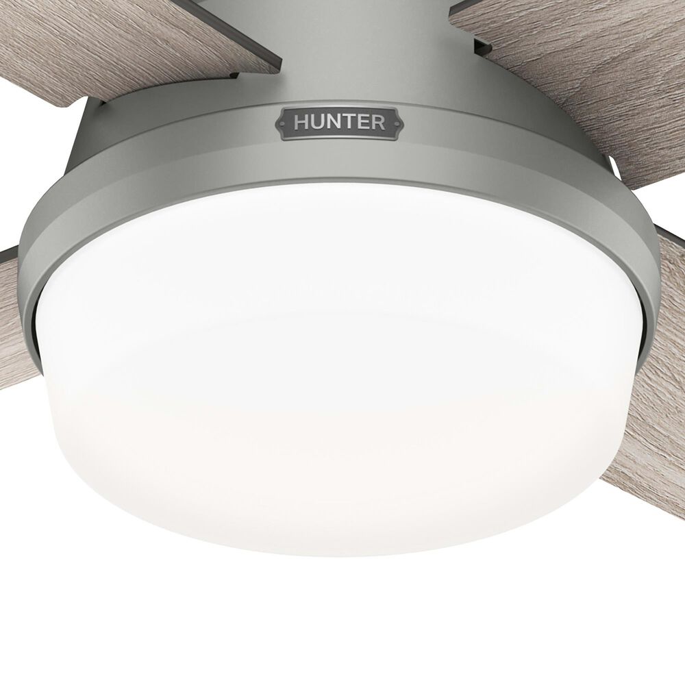 Hunter Dempsey Low Profile 44&quot; Ceiling Fan with Lights in Matte Silver, , large