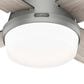 Hunter Dempsey Low Profile 44" Ceiling Fan with Lights in Matte Silver, , large