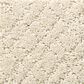 Anderson Tuftex Recital Carpet in Salt Box, , large