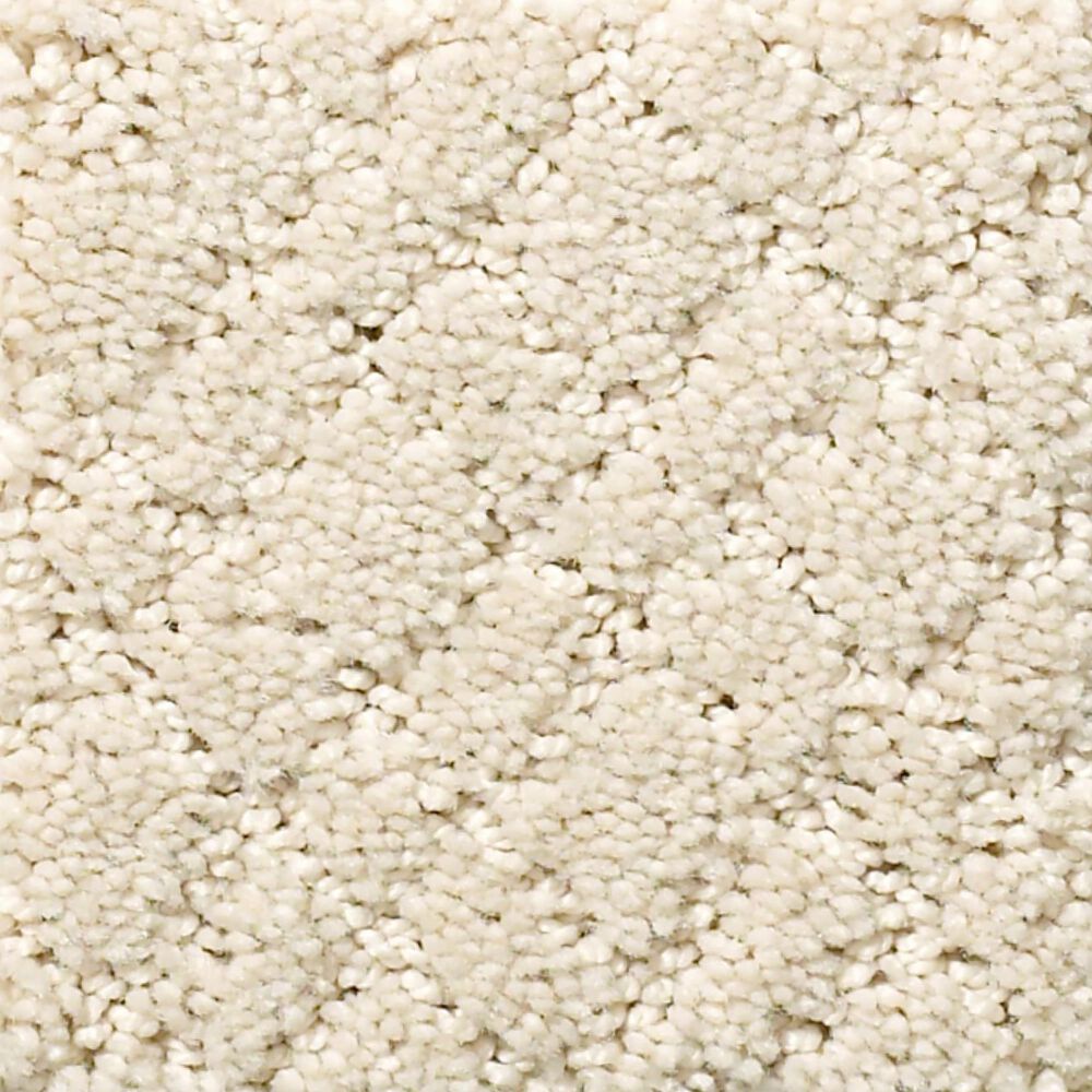 Anderson Tuftex Recital Carpet in Salt Box, , large