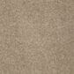 Shaw Keen Senses I Carpet in Grounded, , large