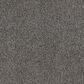 Dixie Home Big Splash Carpet in Dolphin, , large