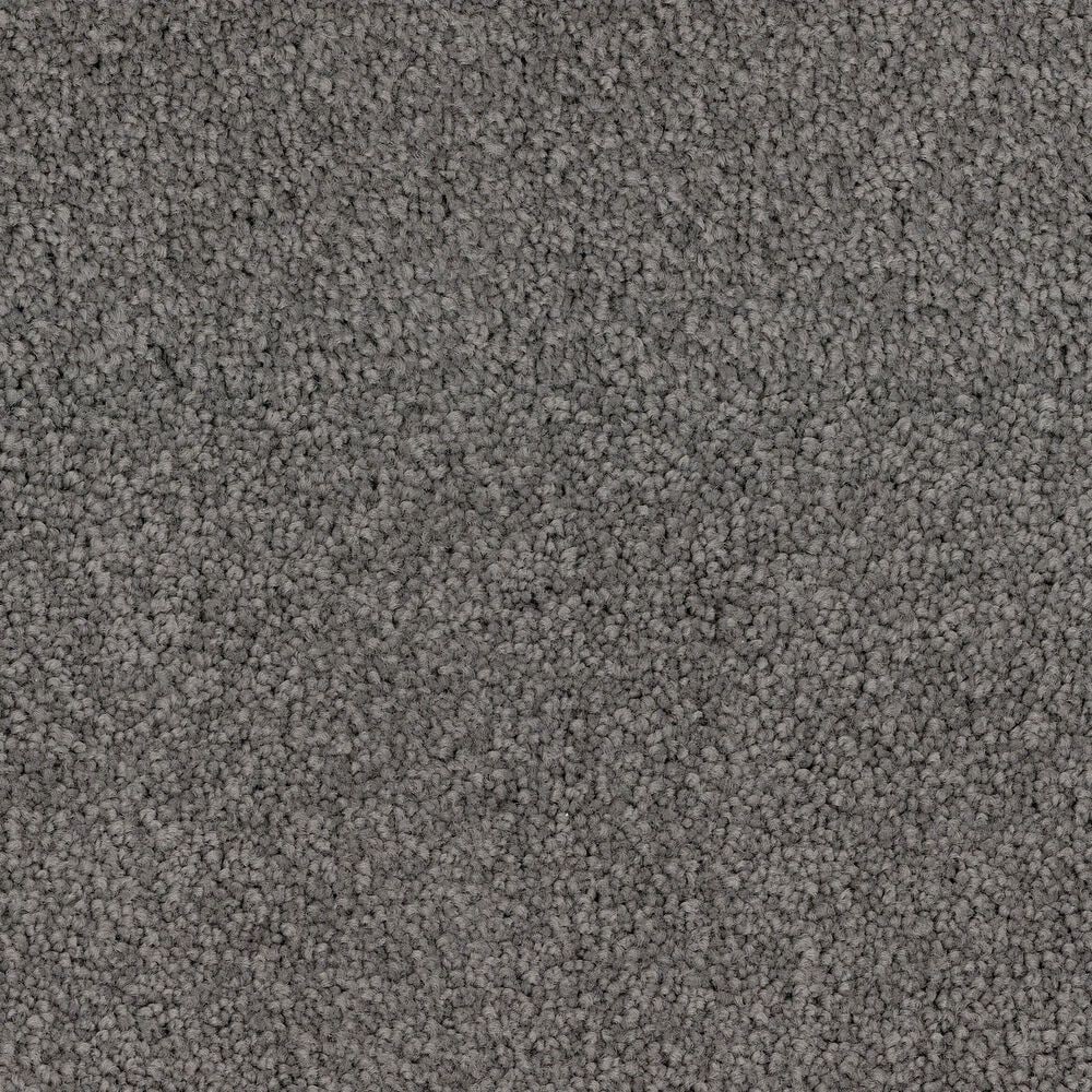 Dixie Home Big Splash Carpet in Dolphin, , large