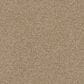 Dixie Home Herder Carpet in Corgi, , large
