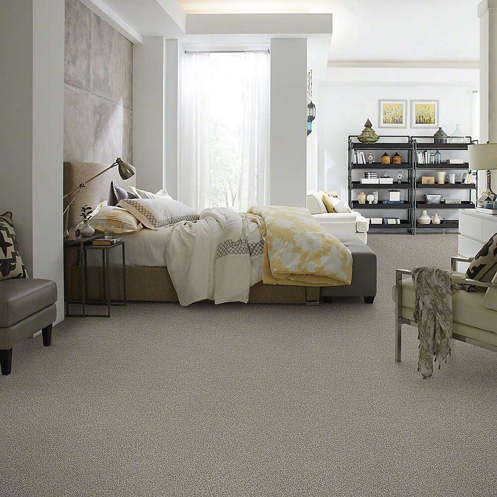 Shaw Detailed Tonal Carpet in Rocky Coast, , large