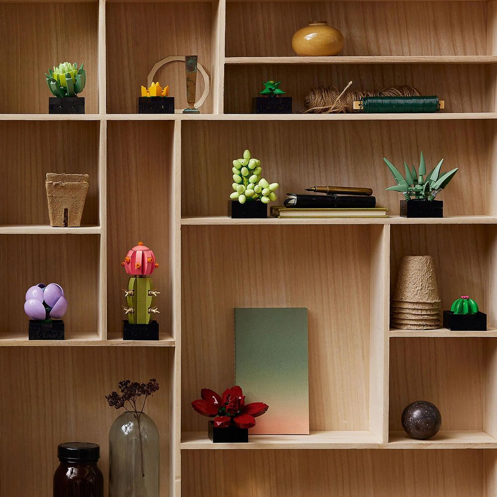 LEGO Botanicals Collection Succulents, , large