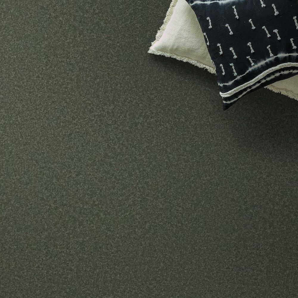 Anderson Tuftex Enduring Charm Carpet in Bereyl, , large