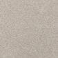 Mohawk Luxuriant Life Carpet in Arctic, , large