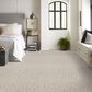 Anderson Tuftex Loom Carpet in Putty, , large