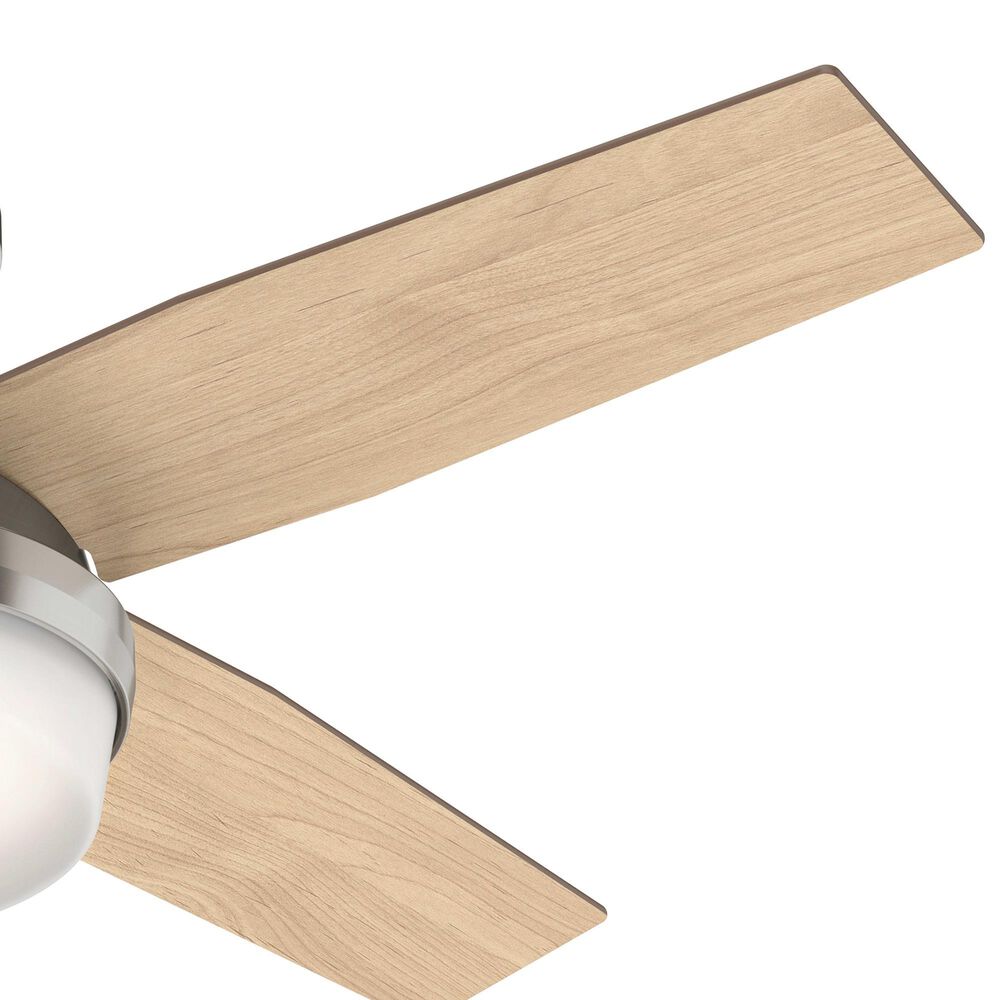 Hunter Dempsey Low Profile 44&quot; Ceiling Fan with Light Gray Oak Blades in Brushed Nickel, , large
