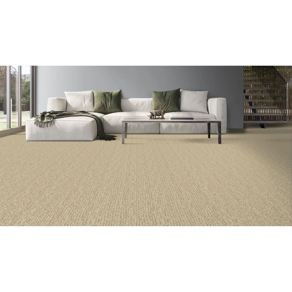 Masland Mesa Verde Carpet in Bleeker, , large