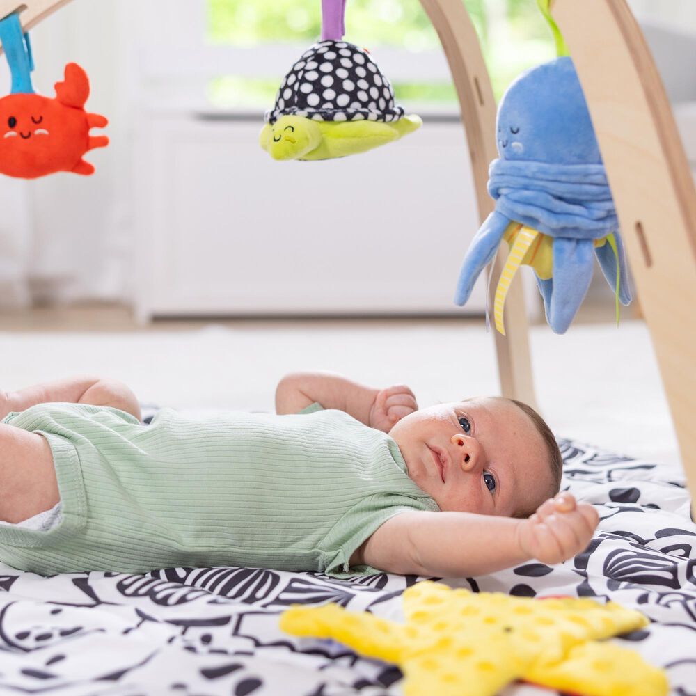 Melissa &amp; Doug Ocean Easy-Fold Play Gym in Multicolor, , large