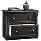 Sauder Palladia 2-Drawer Lateral File Cabinet in Wind Oak, , large