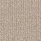 Shaw Sierra Vista Carpet in Passageway, , large