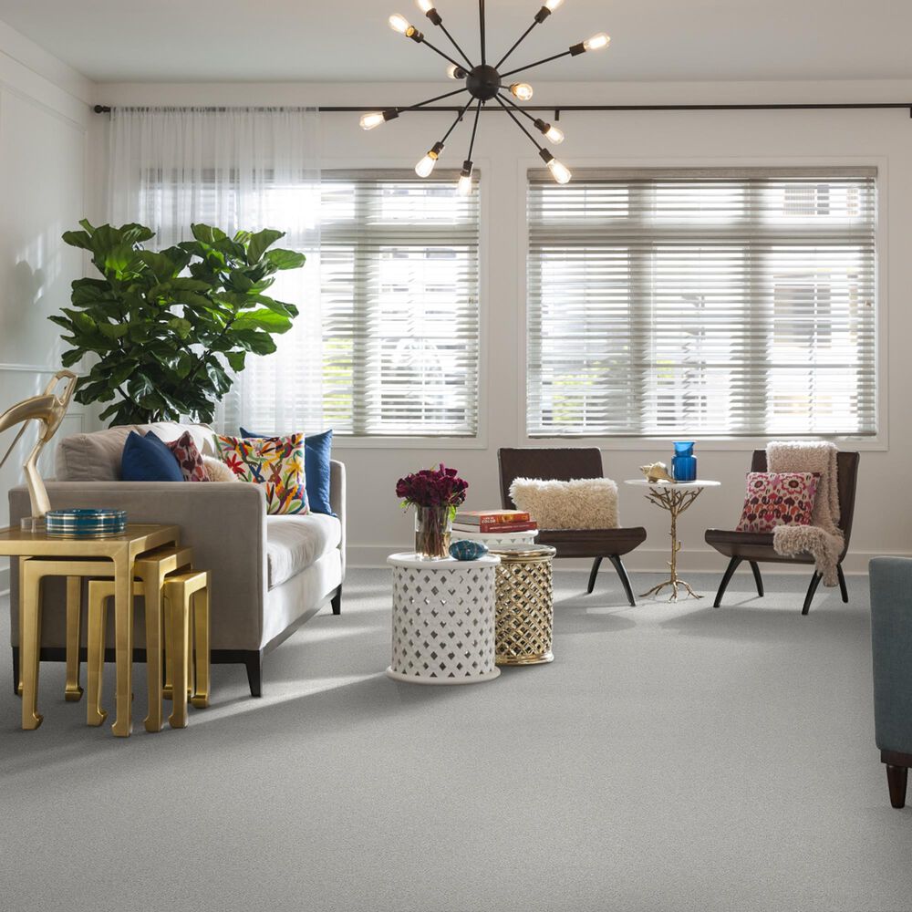 Shaw Foundations Take The Floor Tonal I Carpet in Orion, , large