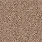 Shaw Las Cruces Carpet in Copper Moon, , large