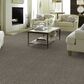 Shaw Break Away Berber Carpet in Dolphin, , large