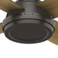 Hunter Dempsey Low Profile 52" Ceiling Fan in Noble Bronze, , large