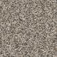 Shaw Affirmation II Carpet in Bistro, , large