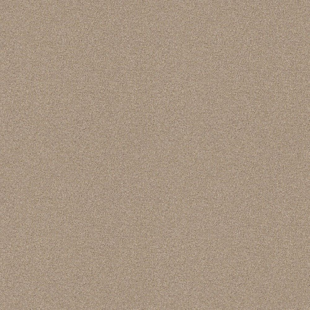 Shaw Tonal Comfort Ii Carpet in Dinner With Friends, , large