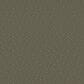 Shaw Point of View Carpet in Rerooted Nature, , large