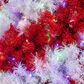 The Gerson Company 7.5" Candy Cane Swirl Pine Tree in Red and White, , large