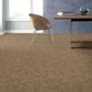 Anderson Tuftex Caress Free Spirit Carpet in Natural Beauty, , large