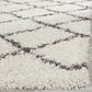 Safavieh Dallas Shag SGD258H-4 4" x 6" Ivory/Dark Grey Area Rug, , large