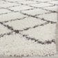 Safavieh Dallas Shag SGD258H-4 4" x 6" Ivory/Dark Grey Area Rug, , large