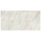 Dal-Tile Famed Iconic 12" x 24" Polished Porcelain Tile, , large