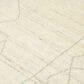 Amer Rugs Anna 10" x 14" Ivory Area Rug, , large