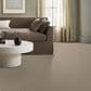 Anderson Tuftex Charismatic Carpet in Casual, , large