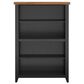 Legends Home Essex 48" Bookcase in Seal Skin and Whiskey, , large
