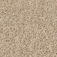 Anderson Tuftex Enchanting Carpet in Buff, , large