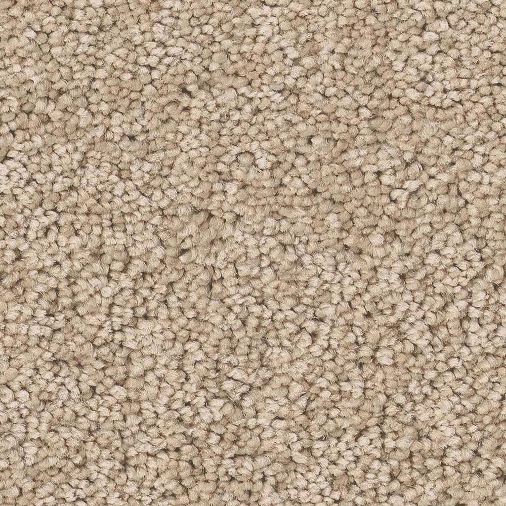 Anderson Tuftex Enchanting Carpet in Buff, , large