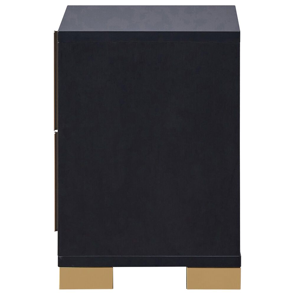 Pacific Landing Marceline 2-Drawer Nightstand in Black, , large