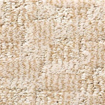 Anderson Tuftex Paw-Tay Carpet in Old Country, , large