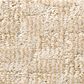 Anderson Tuftex Paw-Tay Carpet in Old Country, , large