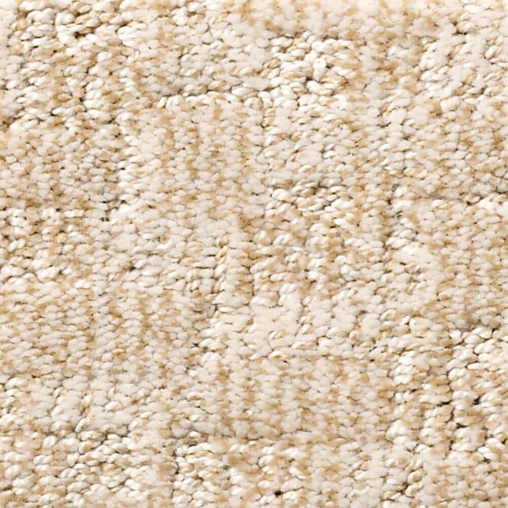 Anderson Tuftex Paw-Tay Carpet in Old Country, , large