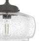 Hunter Saddle Creek 10" 1-Light Pendant with Clear Seeded Shade in Noble Bronze, , large