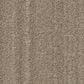 Anderson Tuftex Magnifique Carpet in Chateau, , large