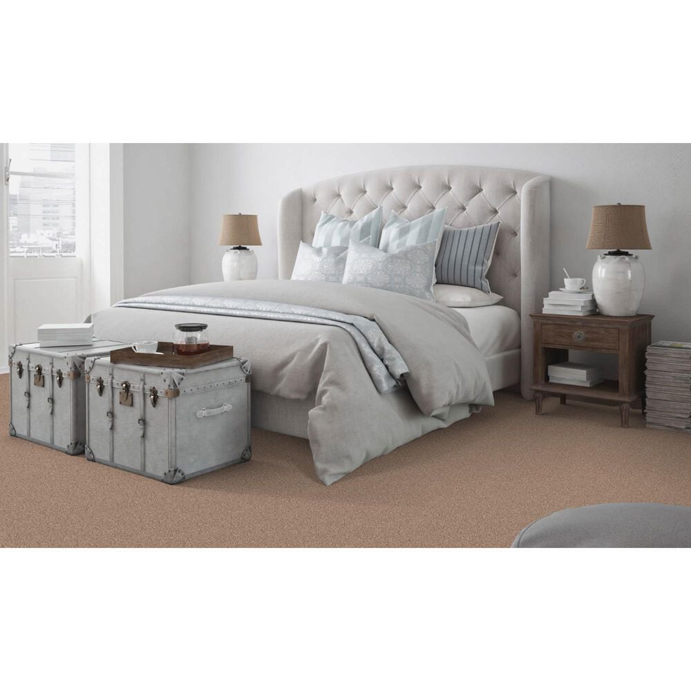 Dixie Home Bella Carpet in Bark, , large