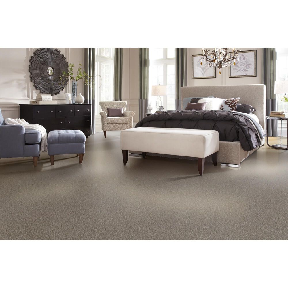 Phenix Bari Carpet in Traditional, , large