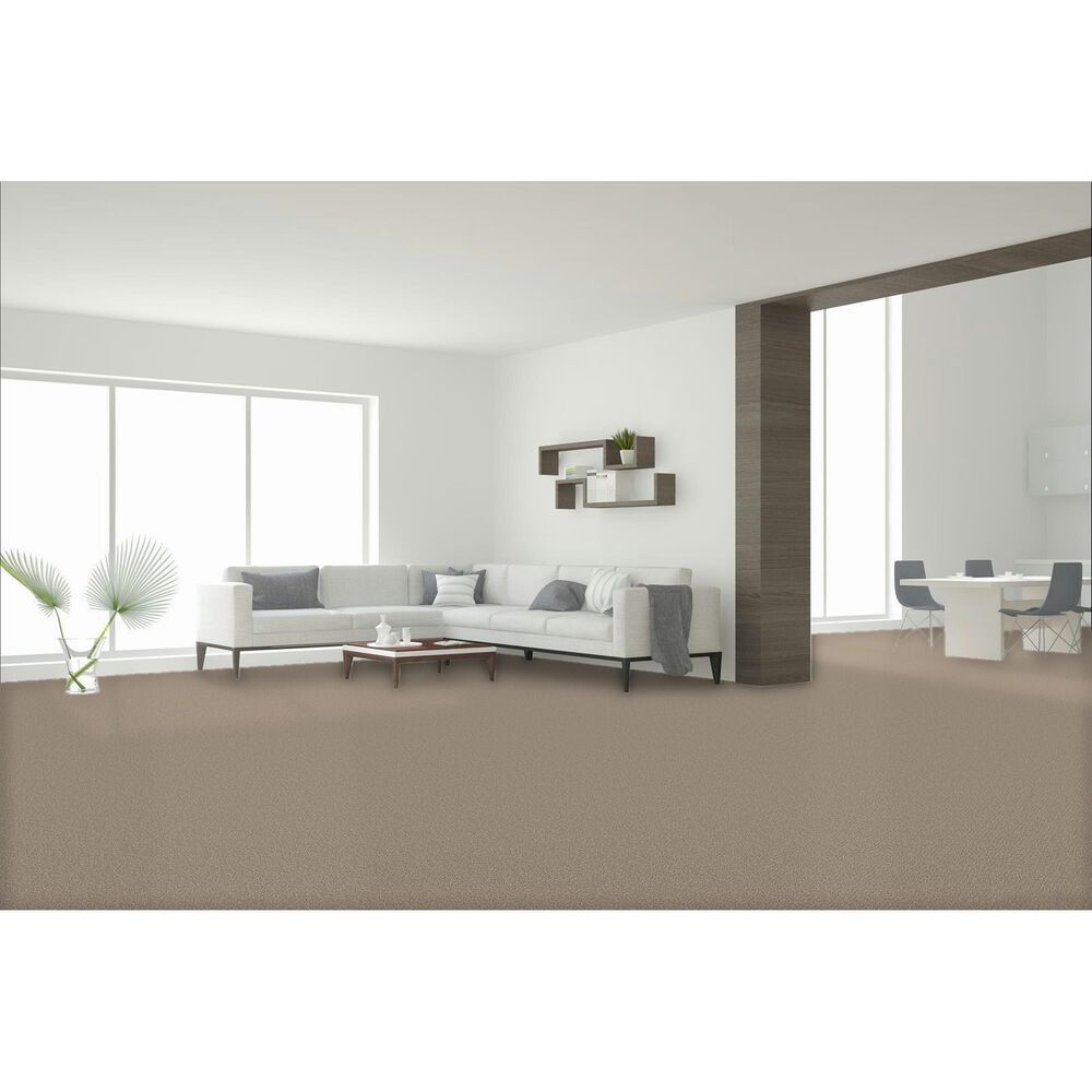 Dream Weaver Cape Cod Carpet in Oxford, , large