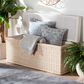 Baxton Studio Barid Rectangle Storage Bench in Natural, , large