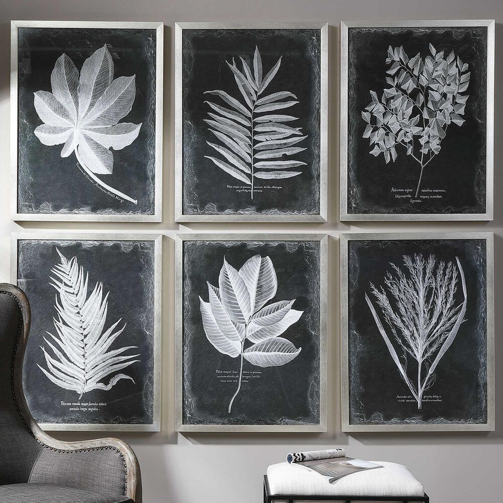 Uttermost Foliage Framed Prints (Set of 6), , large
