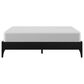 Richlands Furniture Hartley Queen Platform Bed in Black, , large